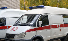 Мужчина скончался в больнице после драки в Агалатово