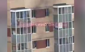 Десятки людей эвакуировали из дома в Мурино во время пожара