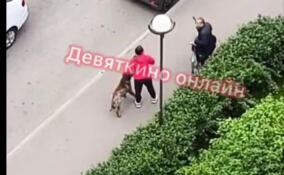 В Мурино собачница ударила мужчину намордником