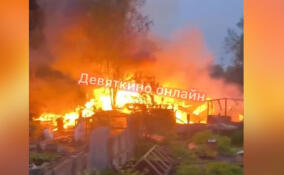 Очевидцы сообщили о пожаре на конюшне в Лавриках