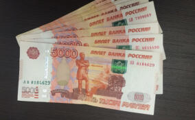 Мошенник обманул жителя жителя Всеволожского района на 1,3 млн рублей