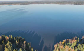 Все водоемы Всеволожского района оказались непригодными для купания