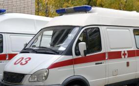 В Романовке умер 13-летний мальчик