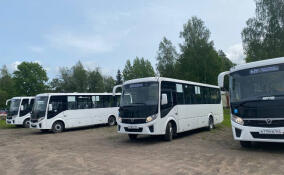 На пяти маршрутах Всеволожского района появились новые автобусы