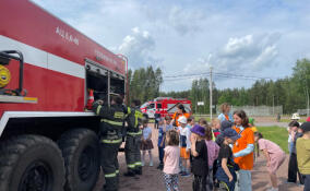 Пожарные провели учения в детском лагере «Островок»