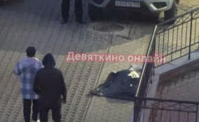 Девушка погибла после падения из окна в Мурино