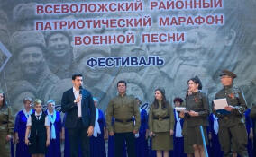 Десятки жителей Дубровки посетили патриотический марафон военной песни