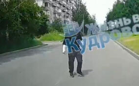 Неадекватный мужчина «ловил» машины у въезда в Кудрово