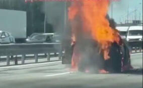 Машина выгорела дотла: появились кадры с места смертельного ДТП на КАД