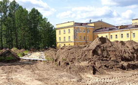 Парк возле ДК в поселке Морозова обновится качелями и арт-объектами