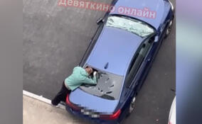 Неадекватный мужчина разбил порядка десяти машин в Мурино