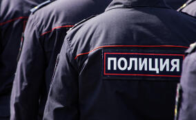 Стало известно об обысках в четырех отделах полиции Всеволожского района
