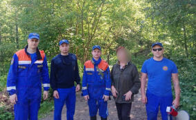 Женщина заблудилась в лесу под Осельками