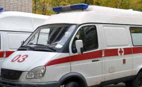 Девочка попала в реанимацию после падения с самоката в Юкковском поселении