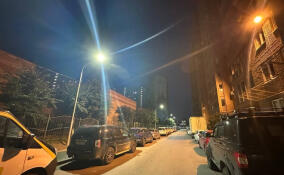 В Новом Оккервиле установили еще 14 фонарей