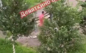 «Зарежу!»: неадекватный мужчина с мачете и ножом атаковал пенсионеров в Мурино