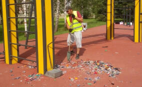 Неизвестные разорвали боксерскую грушу в парке «Оккервиль»