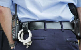 В СНТ под Верхними Осельками неизвестный обстрелял две машины