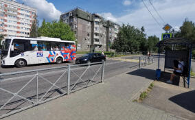 В Сертолово установили новую пешеходную остановку