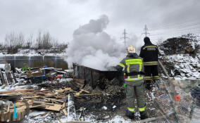 Во Всеволожском районе подожгли две стихийные свалки