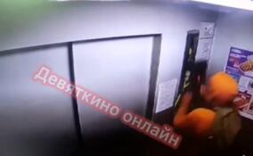 Дебошир сломал панель лифта в Мурино