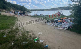Отдыхающие у Кузьмоловского карьера создали огромную свалку