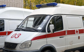 В Мурино ребенка облили содержимым перцового баллончика