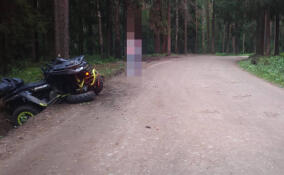 Сотрудники ГАИ проводят проверку после смертельного ДТП с квадрациклом в Коркино