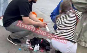 Пожилая женщина упала и разбила голову в Мурино