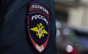 Житель Куйвозовского поселения убил и сжег человека