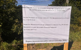 В Лупполово обустроят новую пешеходную дорожку