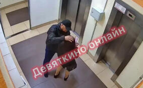 Неадекватный мужчина с ножом пытался изнасиловать девушку в Мурино