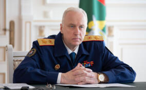 Бастрыкину доложат о расследовании дела о нападениях на женщин в Мурино