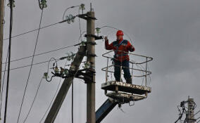 Во Всеволожском районе модернизировали подстанцию