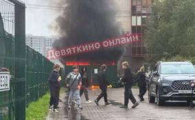 В Мурино загорелась контейнерная площадка