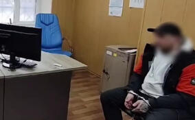 Суд вынесет приговор мужчине за убийство и расчленение человека в Мурино