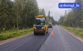 Дорожники обновили асфальт в районе Новой Пустоши