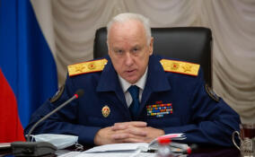 Бастрыкин потребовал доклад по делу о нападении на школьницу в Мурино