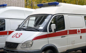Мужчина попал под поезд в районе Нового Девяткино
