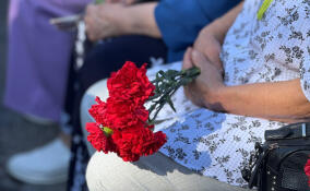 Память жертв блокады Ленинграда почтили во Всеволожске