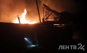 В деревне Ненимяки сгорели шесть гаражей