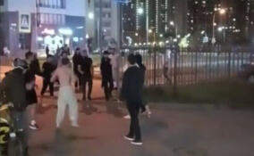 В Мурино произошла массовая драка