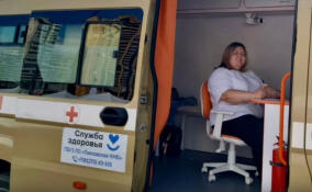 В Мурино, Буграх, Юкках и Агалатово проведут вакцинацию от гриппа