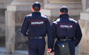 Жительницу Всеволожска задержали за обман пенсионерки
