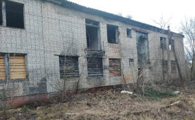 Прокуратура начала проверку в отношении действий владельцев заброшенного ТЦ в Мурино