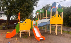 В Дранишниках установили новую детскую и спортивную площадки