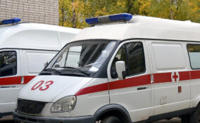 Житель Бугров упал на нож во время застолья