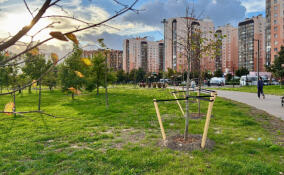 Новые скамейки и урны в парке «Оккервиль» установят через две недели