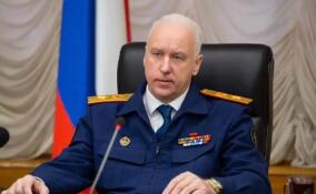 Бастрыкин потребовал доклад по делу о нападении мигранта на жительницу СНТ