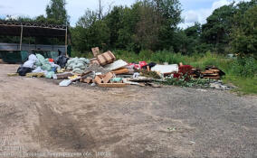 Стало известно, сколько Заневское поселение тратит на вывоз мусора